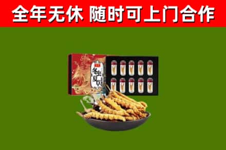 容县回收冬虫夏草价格