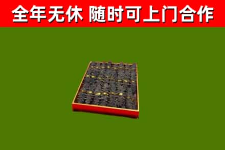 容县回收海参